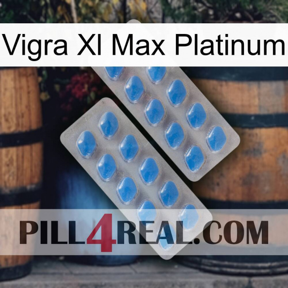 Vigra Xl Max Platinum 23.jpg